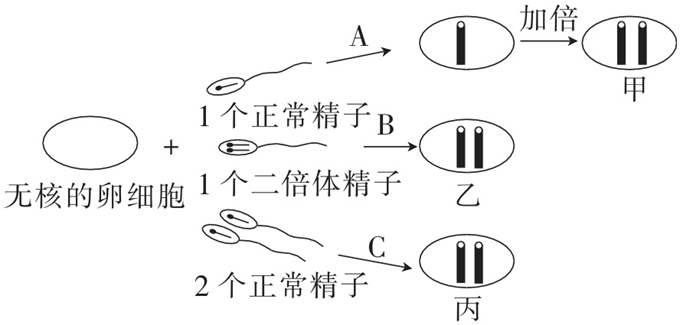 Yangzhong Teaching Studio