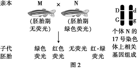 Yangzhong Teaching Studio