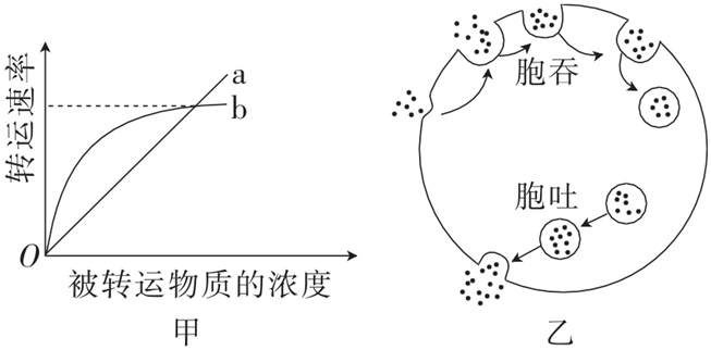 Yangzhong Teaching Studio