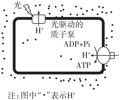 Yangzhong Teaching Studio