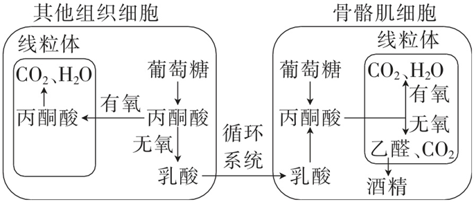 Yangzhong Teaching Studio