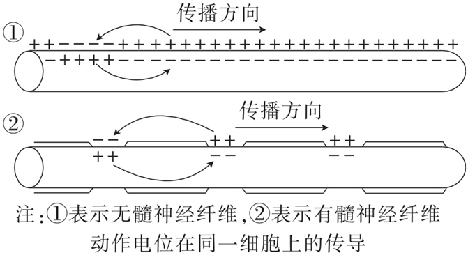 Yangzhong Teaching Studio