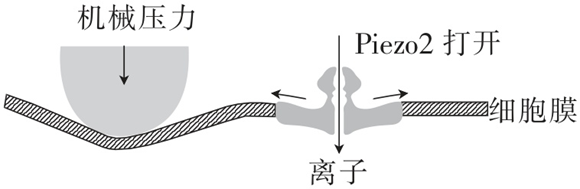 Yangzhong Teaching Studio