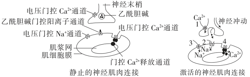 Yangzhong Teaching Studio