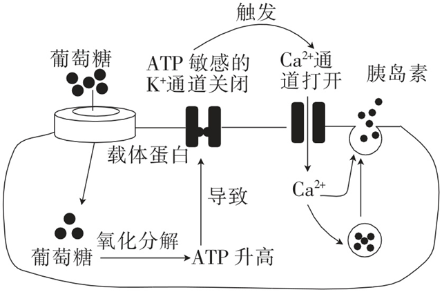 Yangzhong Teaching Studio