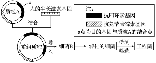 Yangzhong Teaching Studio