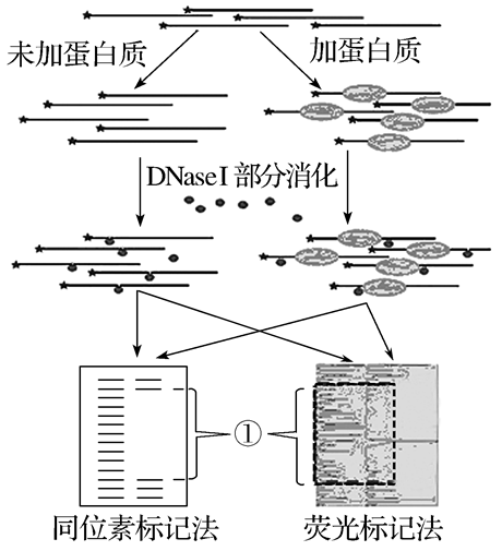 Yangzhong Teaching Studio