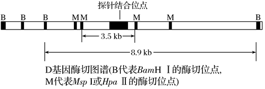 Yangzhong Teaching Studio