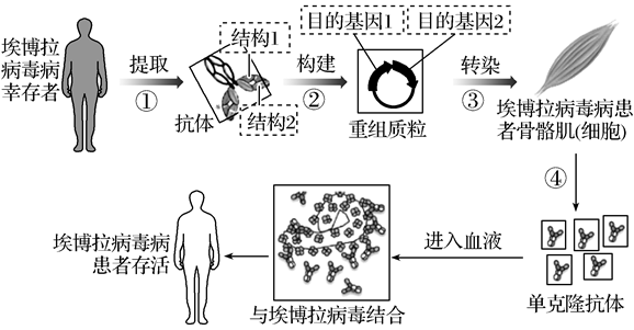 Yangzhong Teaching Studio