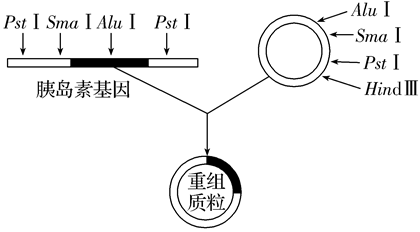 Yangzhong Teaching Studio