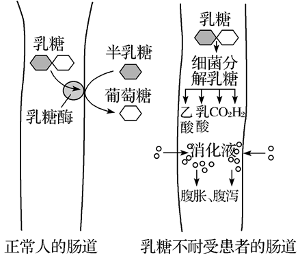 Yangzhong Teaching Studio