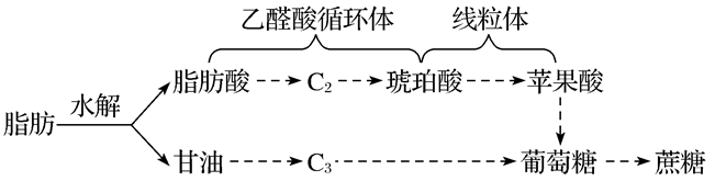 Yangzhong Teaching Studio