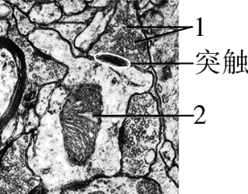 Yangzhong Teaching Studio