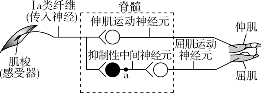 Yangzhong Teaching Studio