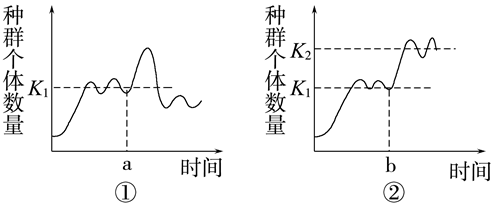 Yangzhong Teaching Studio