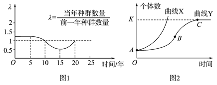 Yangzhong Teaching Studio