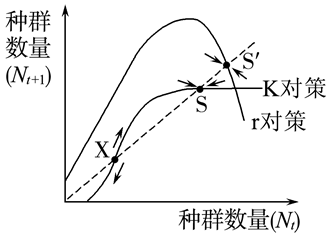 Yangzhong Teaching Studio