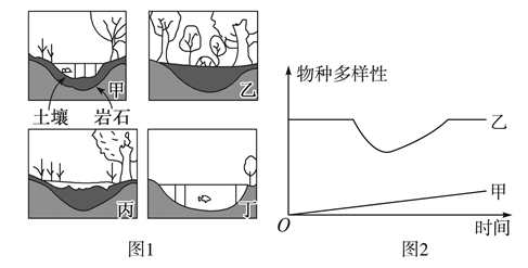 Yangzhong Teaching Studio