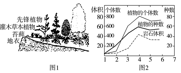 Yangzhong Teaching Studio