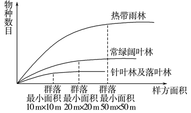 Yangzhong Teaching Studio