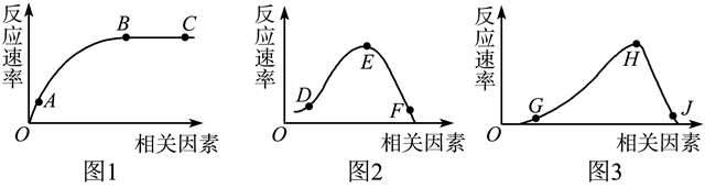 Yangzhong Teaching Studio