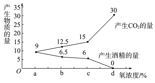 Yangzhong Teaching Studio