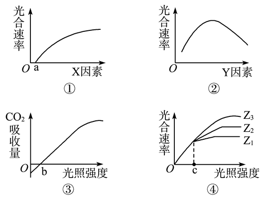 Yangzhong Teaching Studio