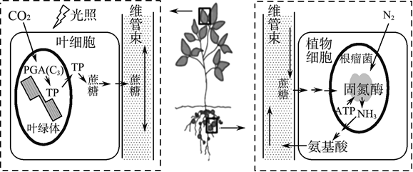 Yangzhong Teaching Studio