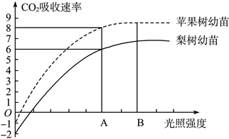 Yangzhong Teaching Studio