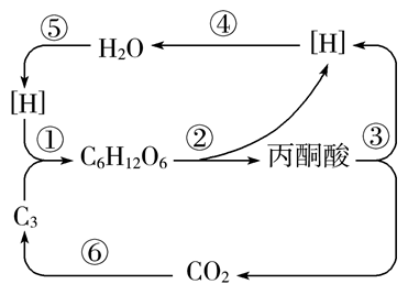 Yangzhong Teaching Studio