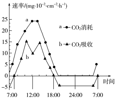 Yangzhong Teaching Studio