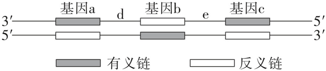 Yangzhong Teaching Studio