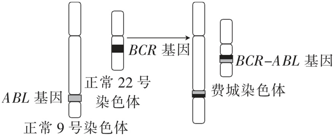 Yangzhong Teaching Studio