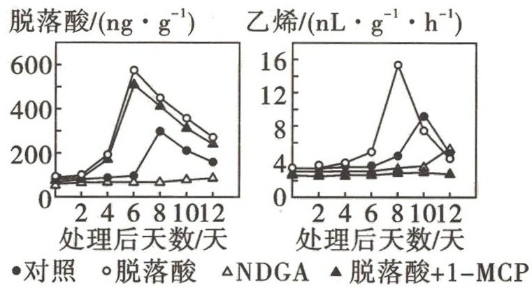 Yangzhong Teaching Studio