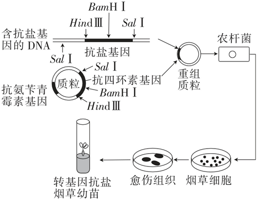 Yangzhong Teaching Studio