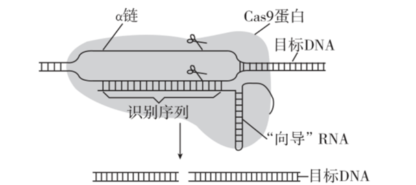 Yangzhong Teaching Studio