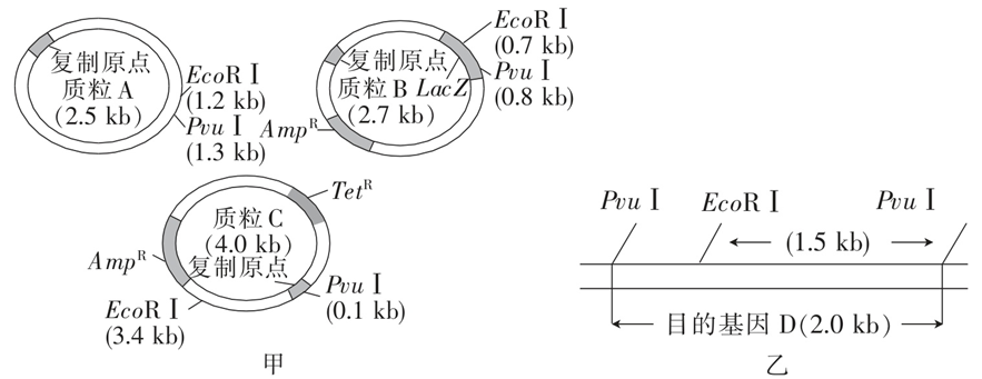 Yangzhong Teaching Studio