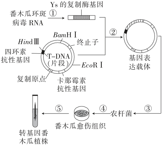 Yangzhong Teaching Studio