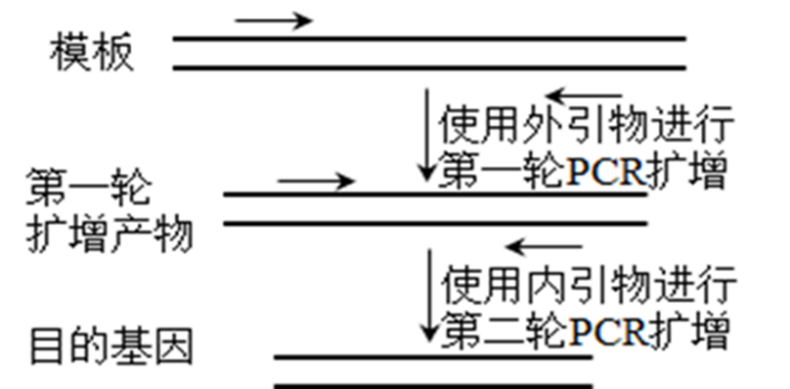 Yangzhong Teaching Studio