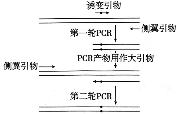 Yangzhong Teaching Studio