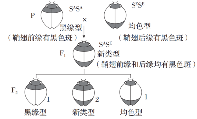 Yangzhong Teaching Studio