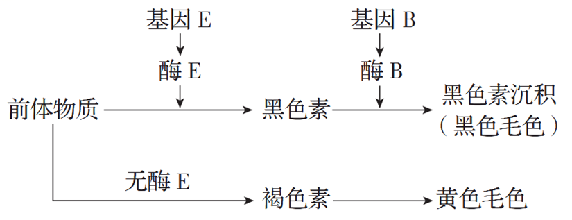 Yangzhong Teaching Studio