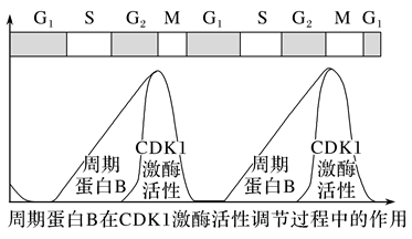 Yangzhong Teaching Studio