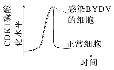 Yangzhong Teaching Studio