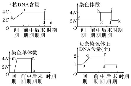 Yangzhong Teaching Studio