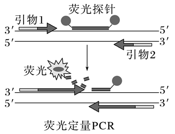 Yangzhong Teaching Studio