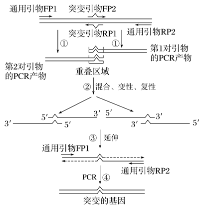 Yangzhong Teaching Studio