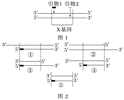 Yangzhong Teaching Studio