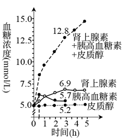 Yangzhong Teaching Studio