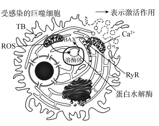 Yangzhong Teaching Studio